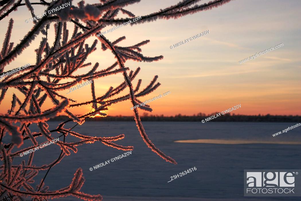 Imagen: Winter in Siberia.