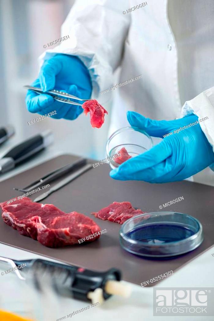Stock Photo: Quality control expert inspecting at meat in the laboratory.