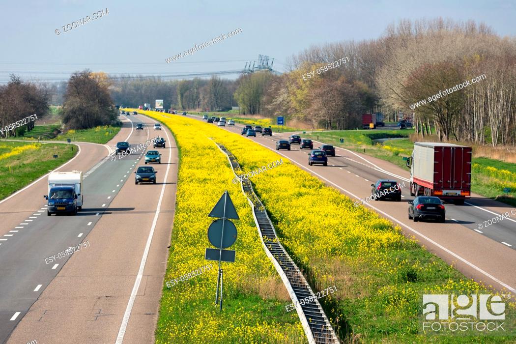 Stock Photo: Dutch motorway A6 near Lelystad with blooming rapeseed.