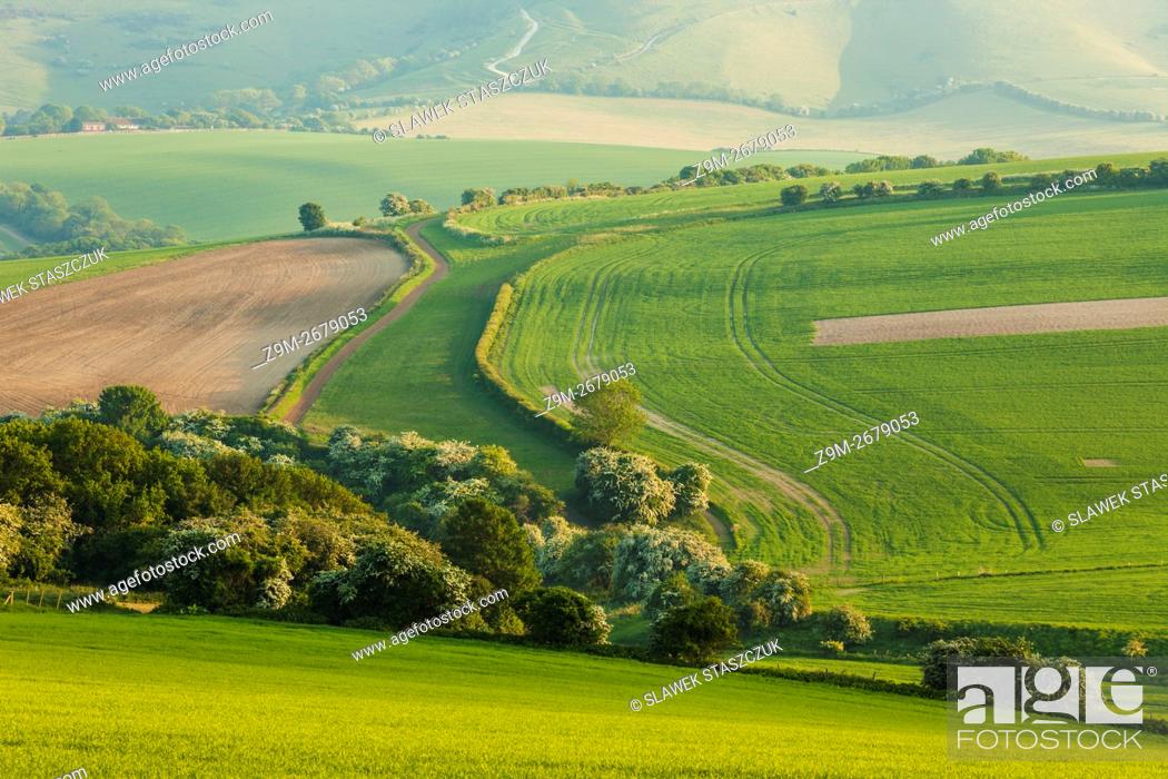 Stock Photo: Spring evening in South Downs National Park near Lewes, East Sussex, England.