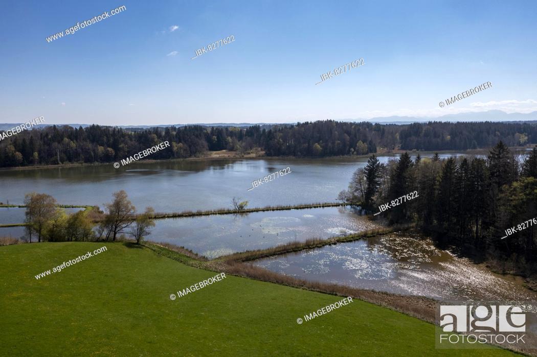 Stock Photo: Zellsee, fish farm, near Wessobrunn, drone image, Pfaffenwinkel, Upper Bavaria, Bavaria, Germany, Europe.