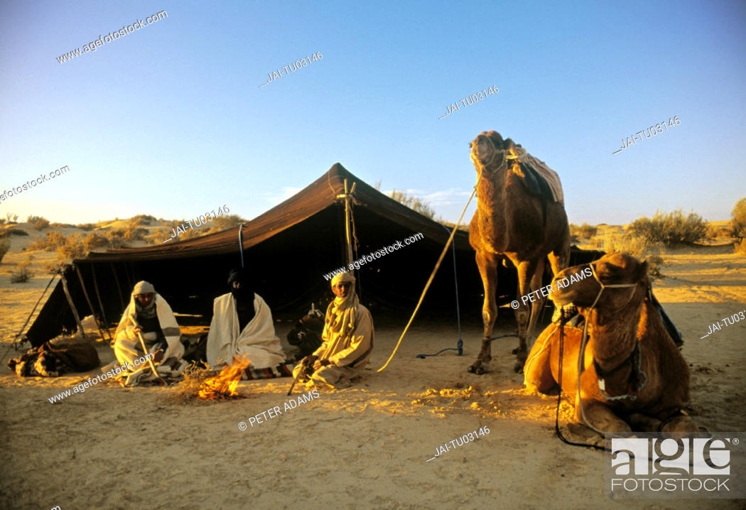 Bedouin tent, Tunisia, Stock Photo, Picture And Rights Managed Image. Pic.  JAI-TU03146 | agefotostock