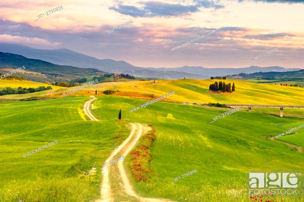 Stock Photo: Orcia Valley, Tuscany, Italy. Tuscan hills at sunrise.