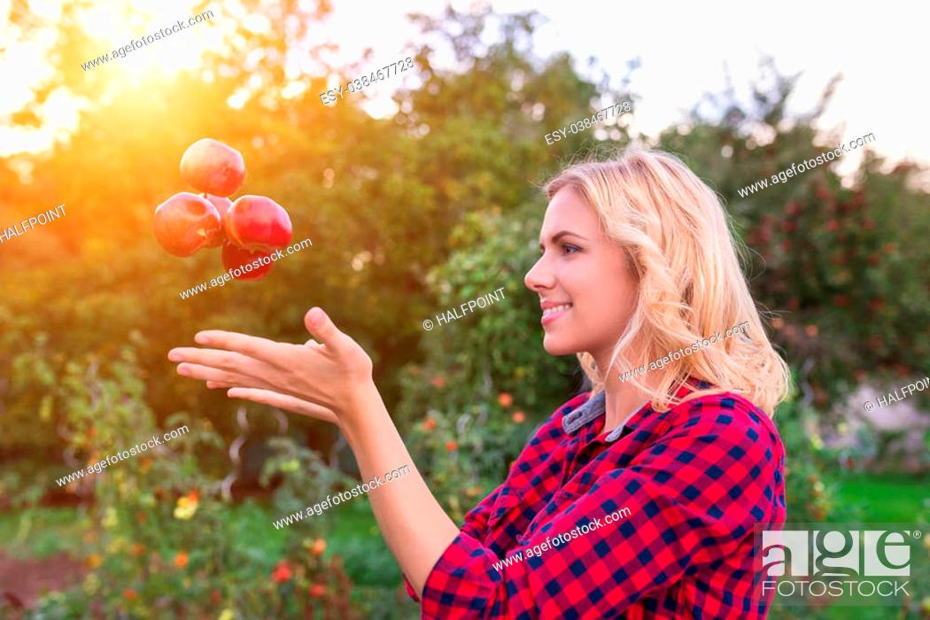 Stock Photo: Beautiful young woman in red shirt harvesting apples.