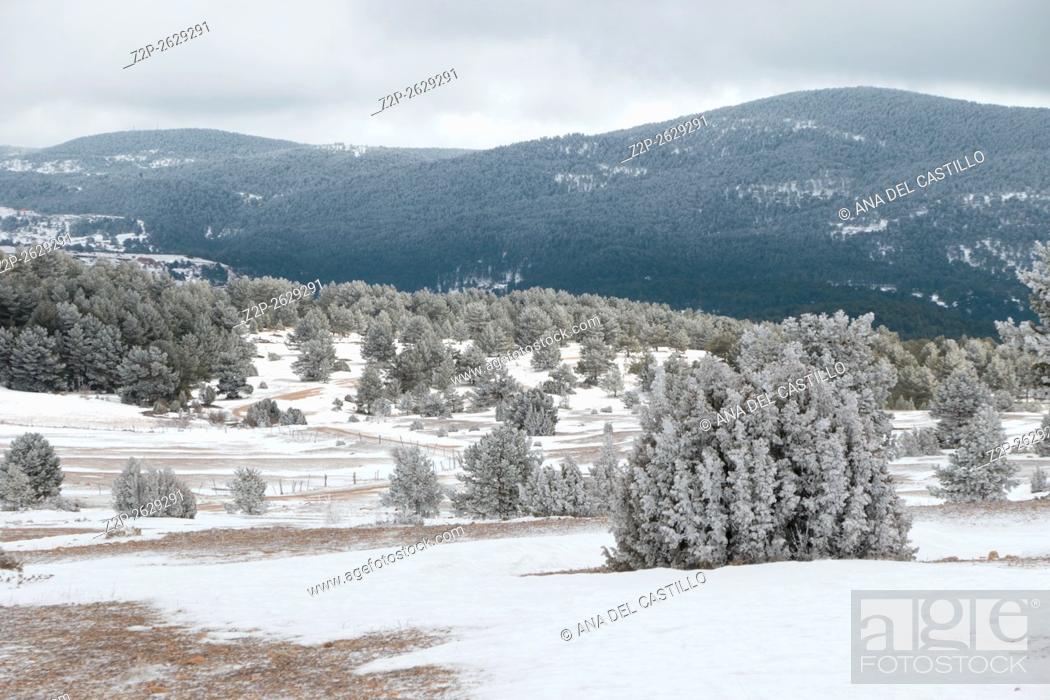 Stock Photo: wonderful winter in snowfall day. Gudar mountains in Teruel Aragon Spain.