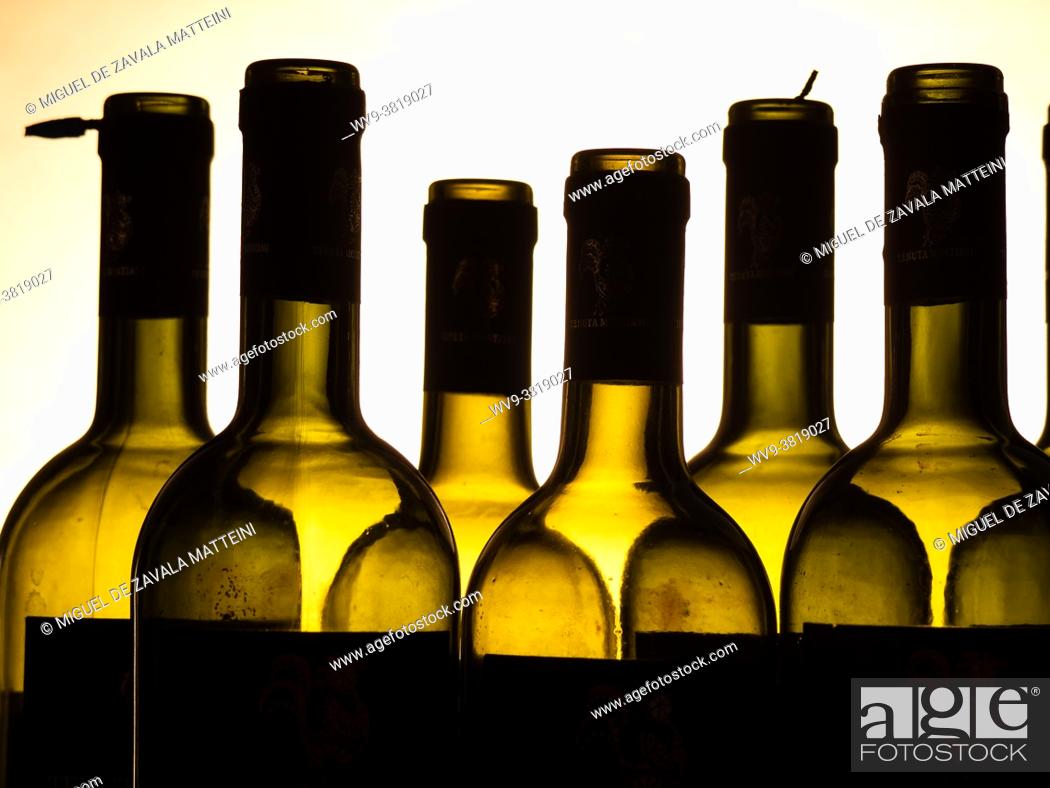 Stock Photo: Empty wine bottles lined up.