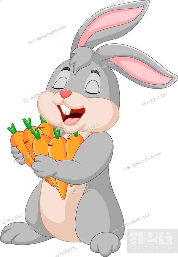 Vector illustration of Cartoon rabbit holding carrots, Stock Vector, Vector  And Low Budget Royalty Free Image. Pic. ESY-057357469 | agefotostock
