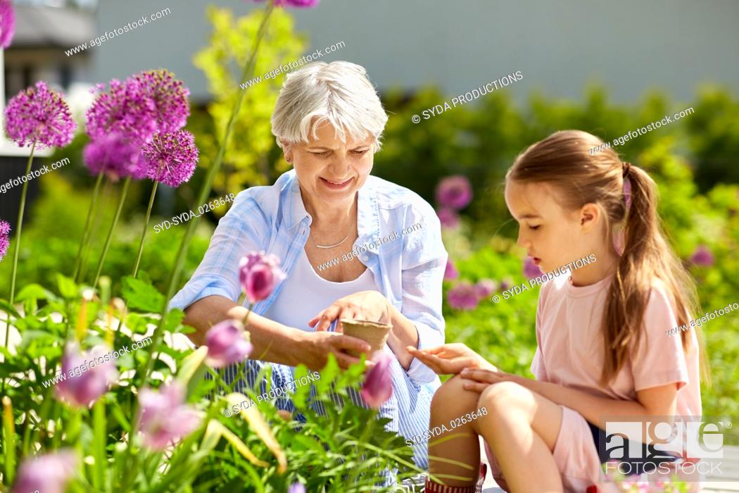 Stock Photo: grandmother and girl seeding flowers at garden.