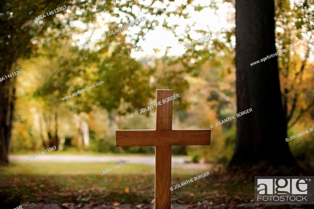 Imagen: Wooden cross in a forest cemetery.