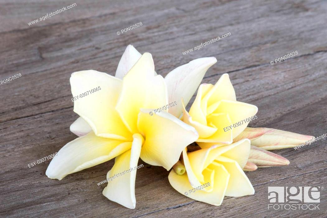 Stock Photo: plumaria flowers on old wooden.