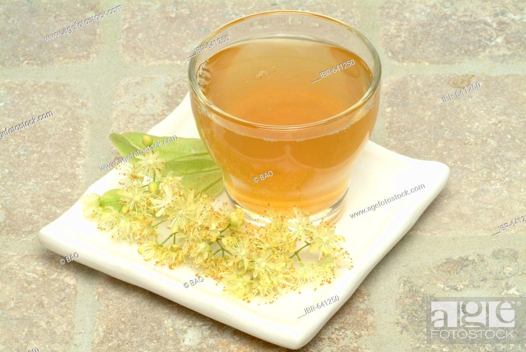 Stock Photo: Small-leaved Lime or Linden (Tilia cordata), herbal tea.