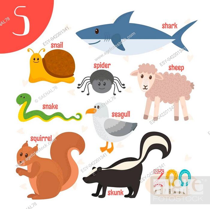 Letter S. Cute animals. Funny cartoon animals in vector. ABC book, Stock  Vector, Vector And Low Budget Royalty Free Image. Pic. ESY-042201341 |  agefotostock
