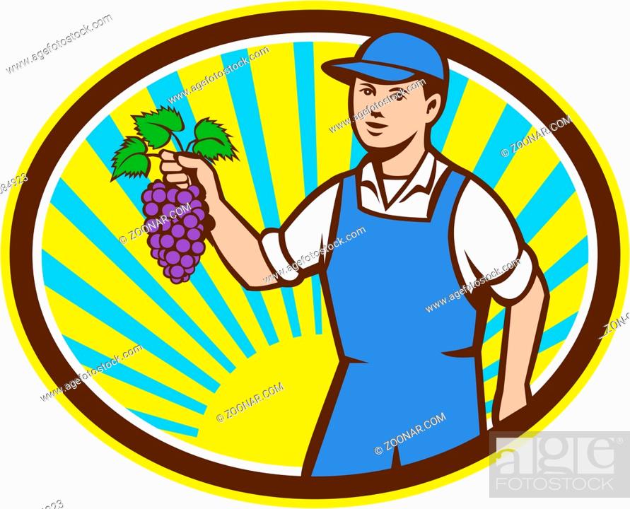 Stock Photo: Illustration of an organic farmer boy wearing hat holding grapes viewed from the front set inside oval shape with sunburst in the background done in retro style.