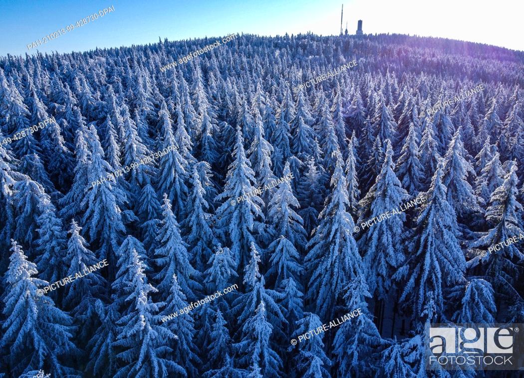 Stock Photo: 13 February 2021, Hessen, Sandplacken: The sun touches the trees covered with snow and ice on the Feldberg in Taunus (aerial view with a drone).