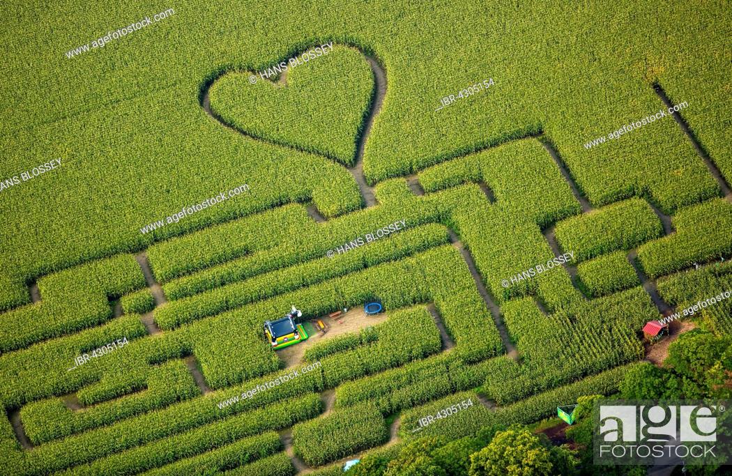 Stock Photo: Labyrinth with a heart in the cornfield, corn maze, green heart, heart shape, heart shaped, Herten, Ruhr district, North Rhine-Westphalia, Germany.