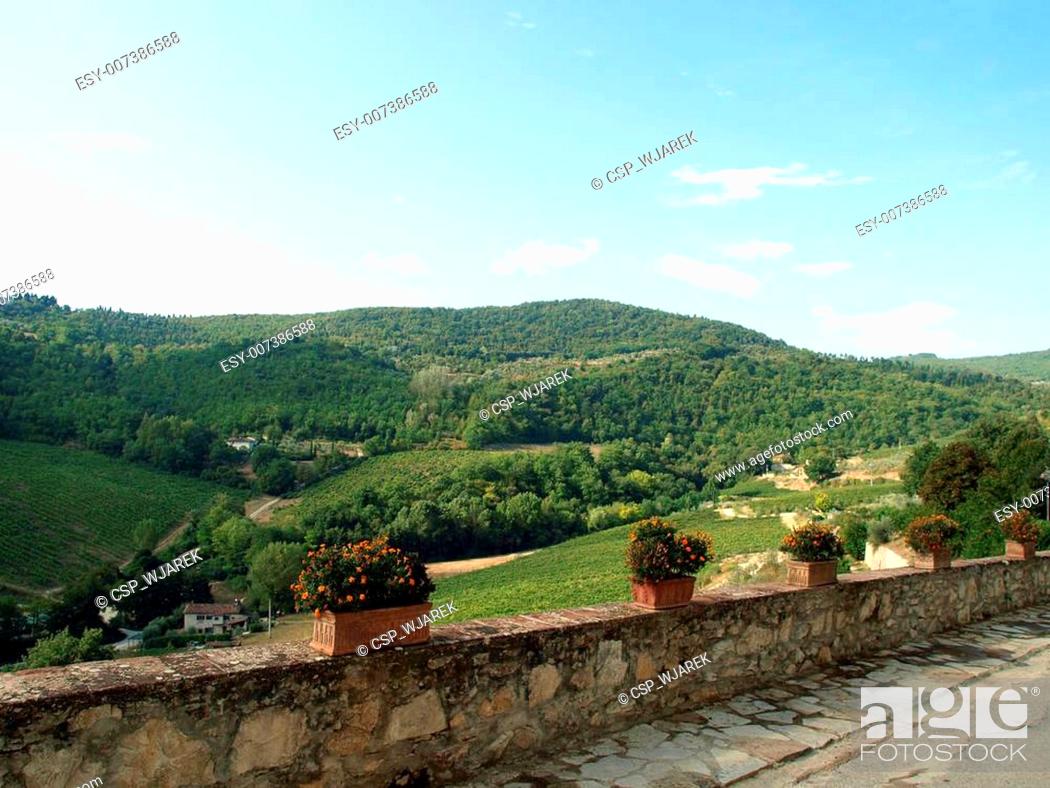 Stock Photo: terrace with the view on vineyards in Tuscany.