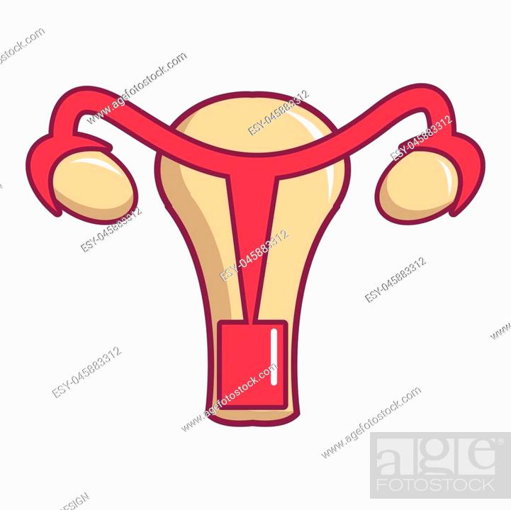 Female reproductive system icon. Cartoon illustration of female  reproductive system icon for web..., Stock Photo, Picture And Low Budget  Royalty Free Image. Pic. ESY-045883312 | agefotostock