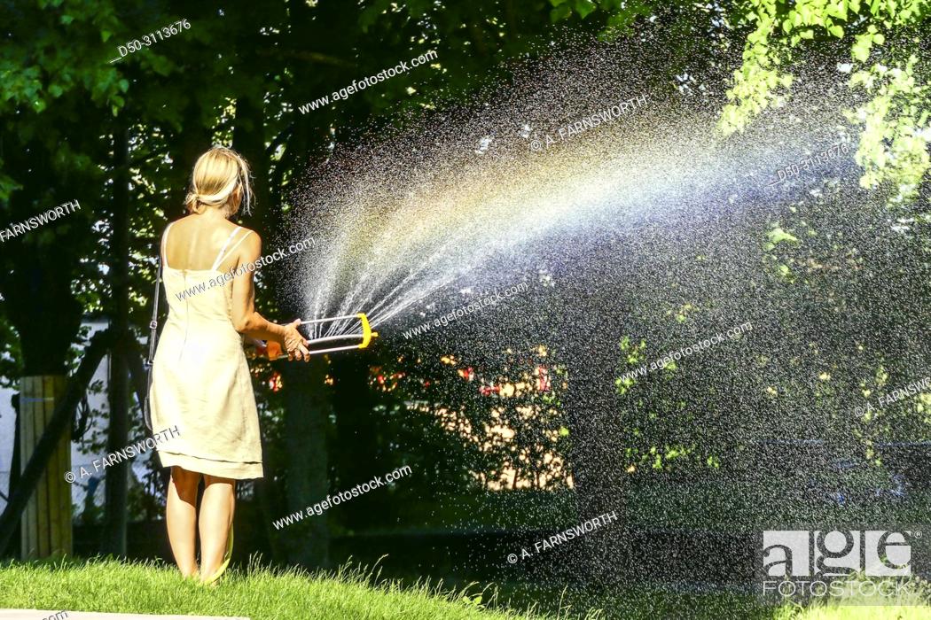 Stock Photo: A woman waters the grass with a hose in the Hagalund Park and apartment complex, Solna suburb. Stockholm, Sweden.