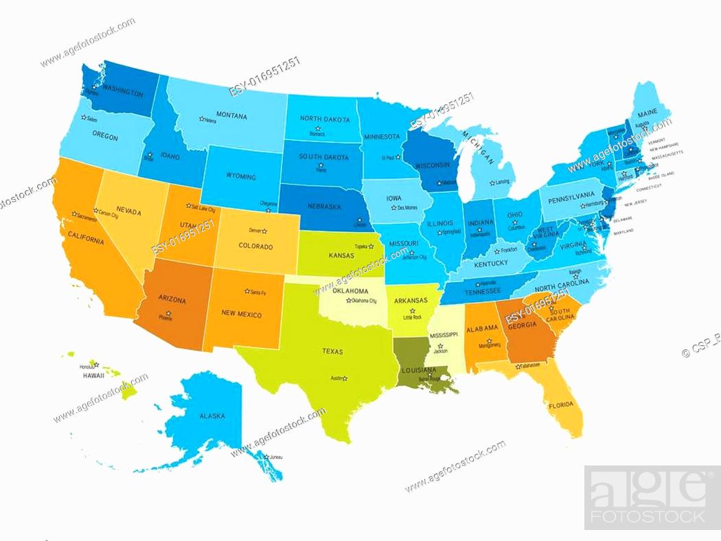 Usa Map With Names Of States Stock Vector Vector And Low Budget