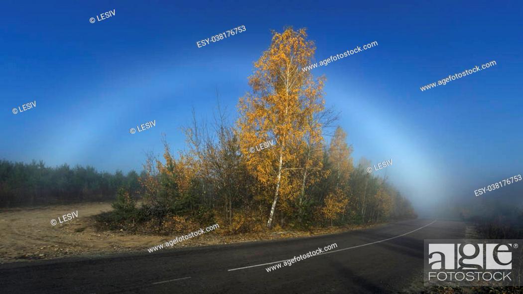 Stock Photo: The bright fogbow over autumn misty forest.