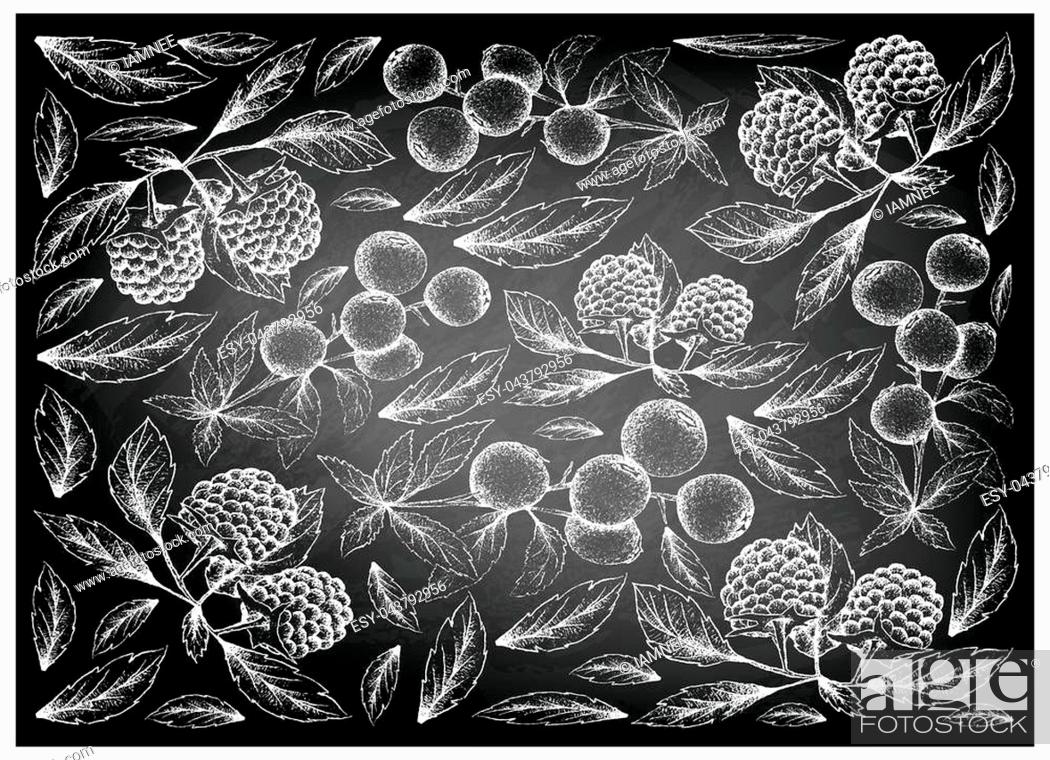 Stock Photo: Berry Fruit, Illustration Wallpaper Black Chalkboard.