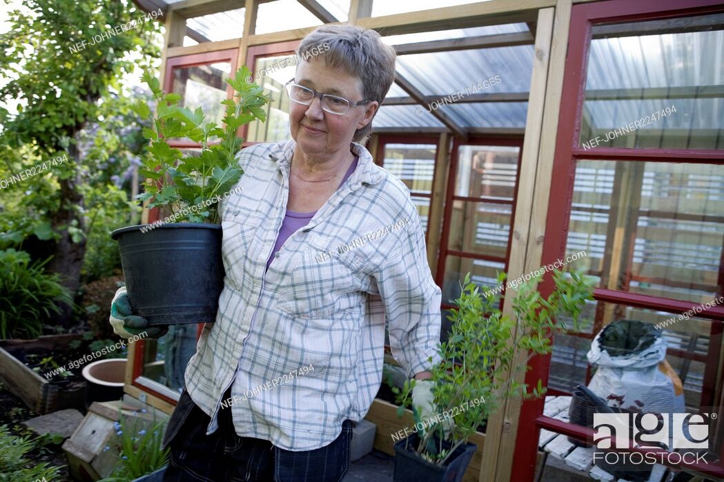 Stock Photo: Woman with potted plants.