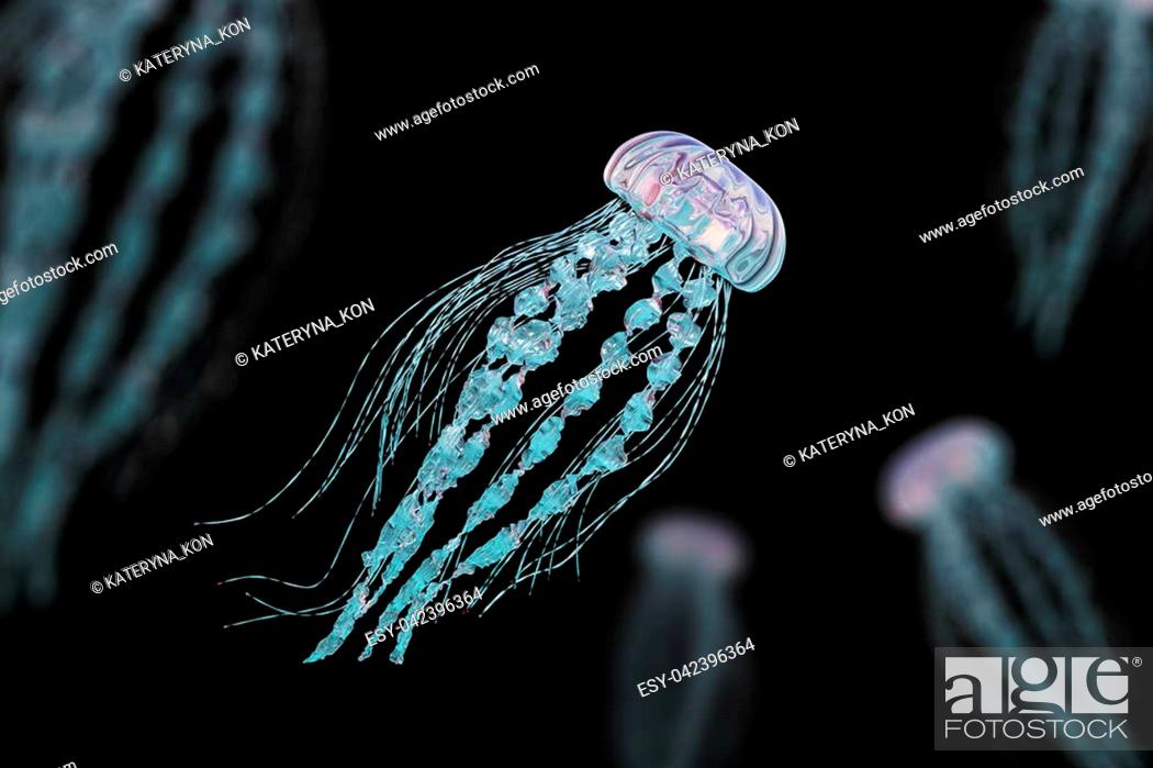 Stock Photo: Jellyfishes isolated on black background, 3D illustration.