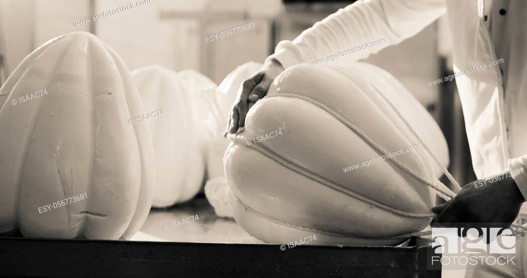 Stock Photo: Production of provolone cheese in craft cheese factory.