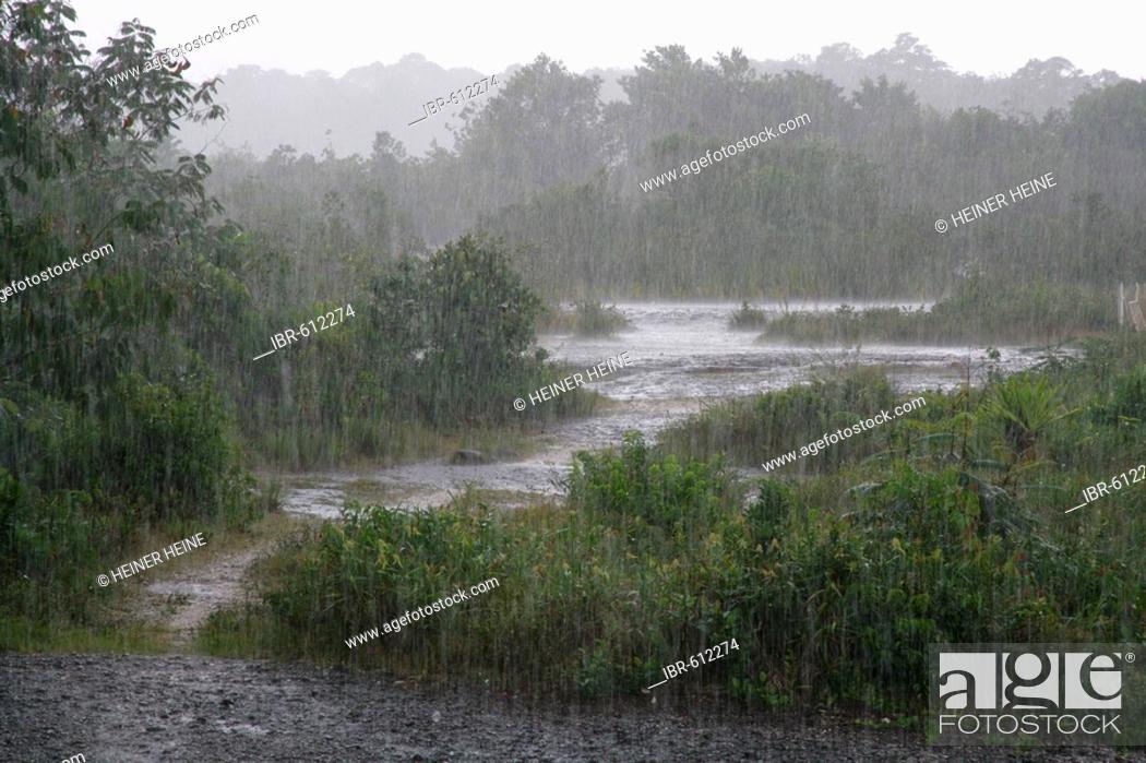 Stock Photo: Tropical rains, Kaieteur Waterfalls, Potaro National Park, Guyana, South America.