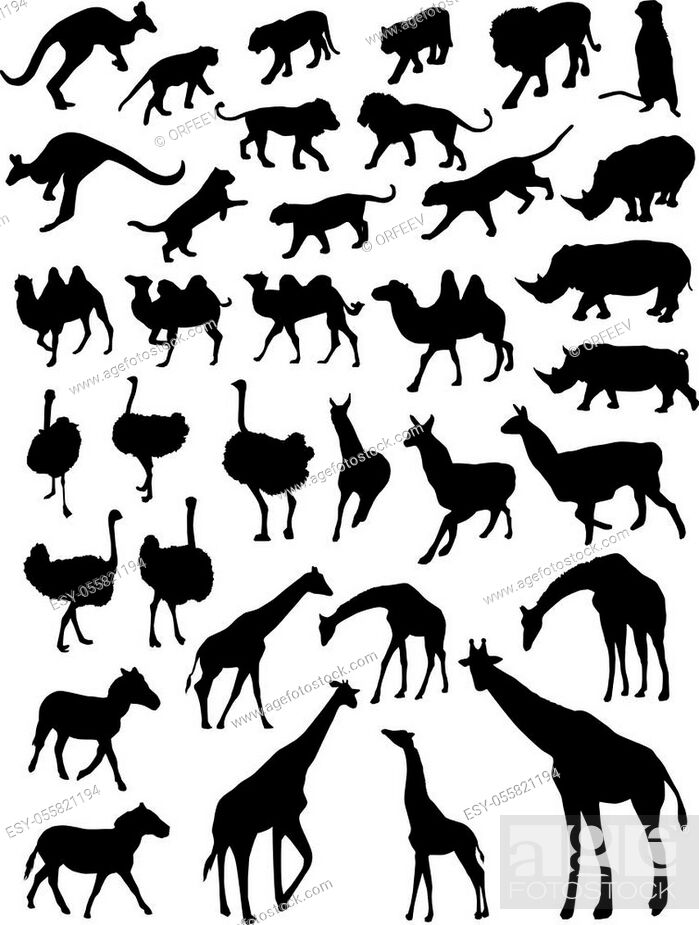 Stock Vector: Big animals silhouettes set. Exotic animals set.