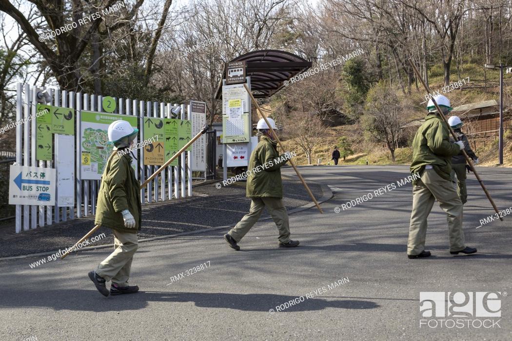 Stock Photo: February 22, 2019, Tokyo, Japan - Zookeepers take part during an Escaped Animal Drill at Tama Zoological Park. The annual escape drill is held to train.