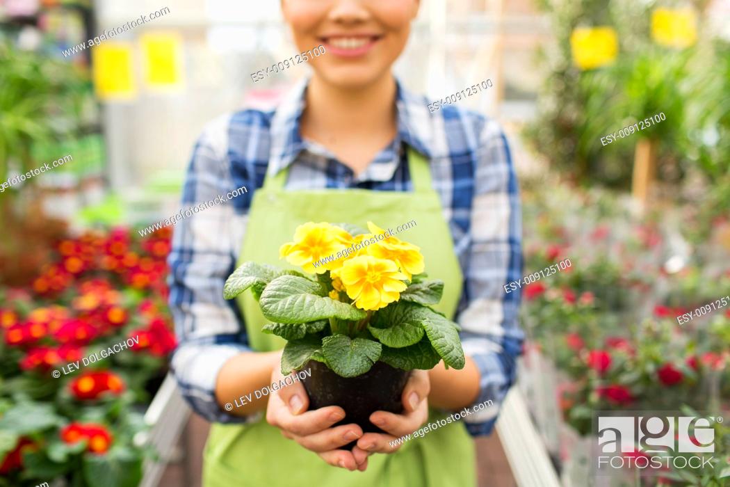 Stock Photo: people, gardening and profession concept - close up of happy woman or gardener holding flowers at greenhouse or shop.
