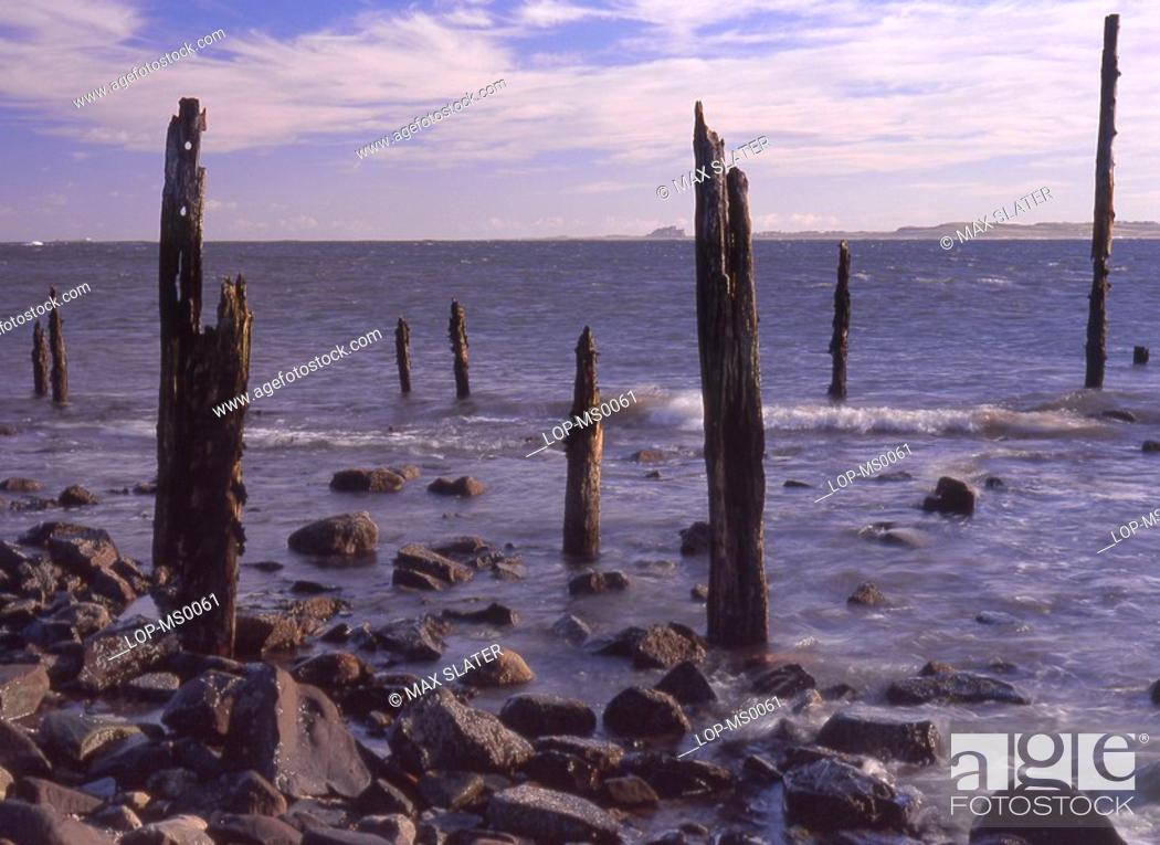 Stock Photo: England, Northumberland, Lindisfarne, View of rotting timber posts from the beach.