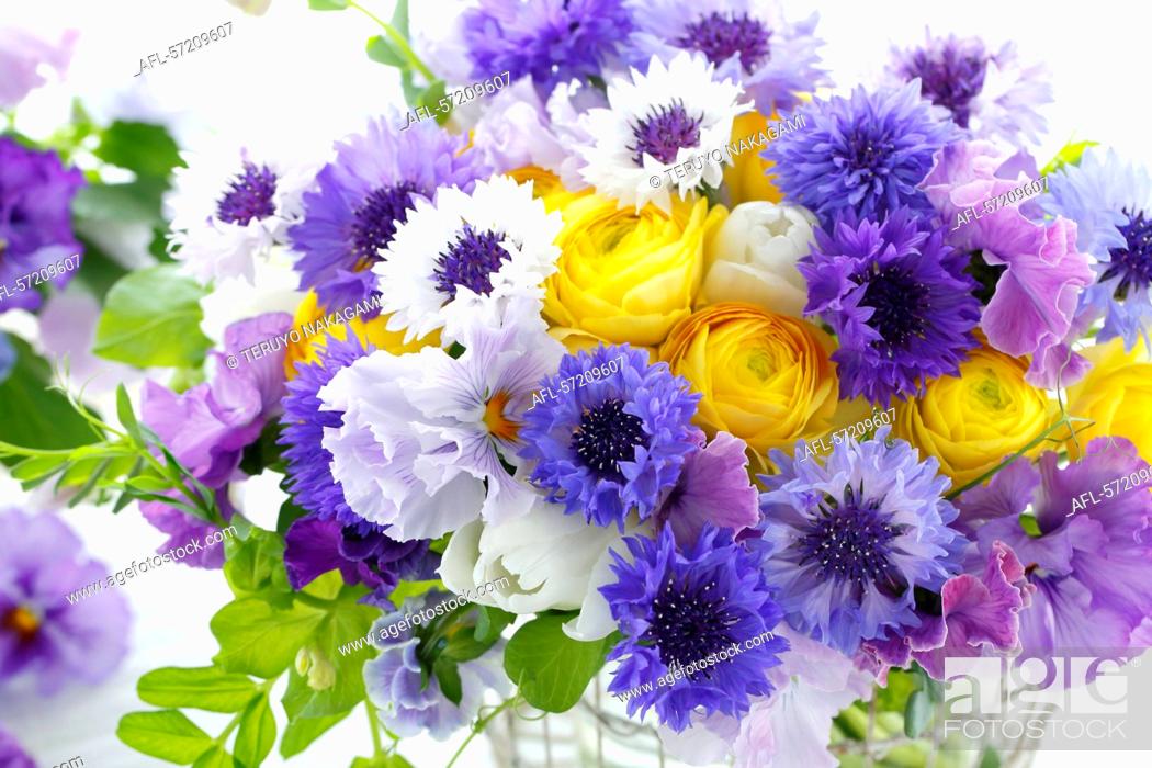 Stock Photo: Flower arrangement.