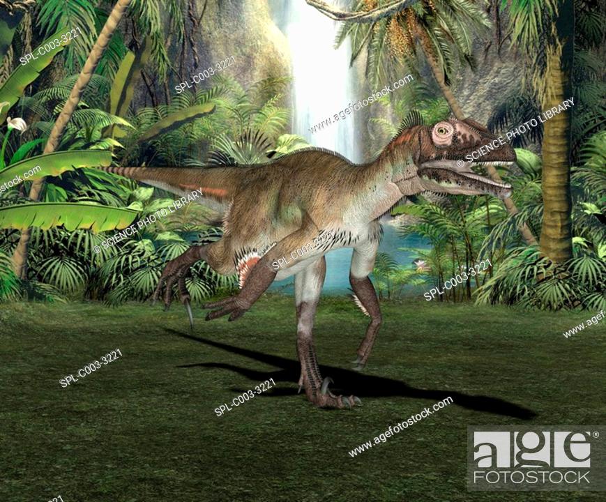 Stock Photo: Utahraptor dinosaur, artwork. Utahraptor ostrommaysorum are dromaeosaurs and thought to have been an extremely lethal group of dinosaurs because of the 'killer.