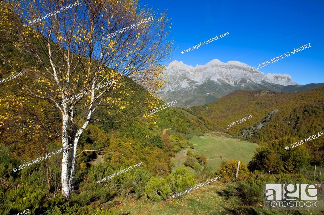 Stock Photo: Overview of Cornion Massif, in Picos de Europa National Park  Santa Marina de Valdeon  Leon  Castilla y Leon  Spain.