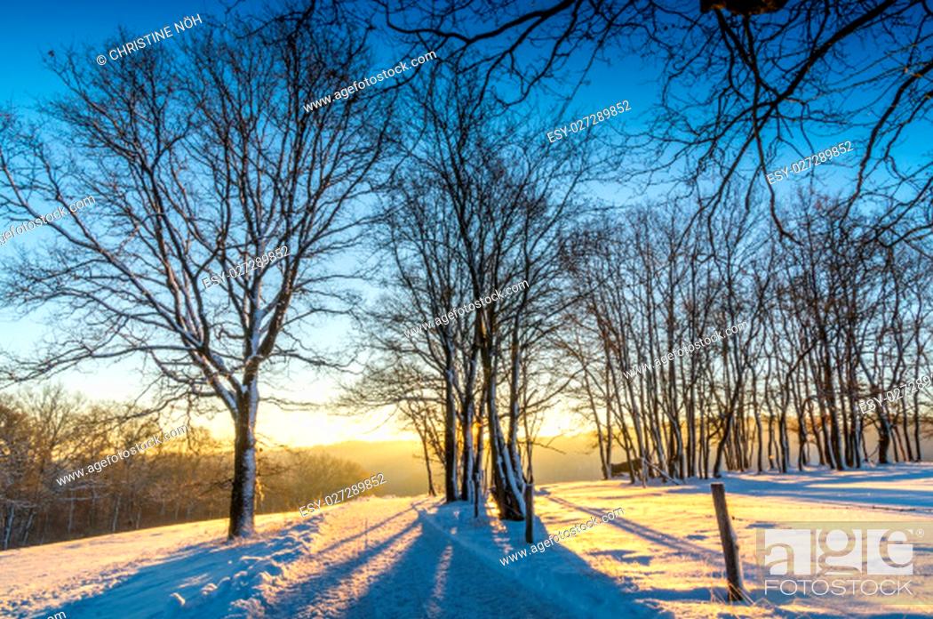 Stock Photo: Nature, Holiday, Natural, Landscape, Germany, Season, Scenic, Winter, Country, Forest, Snow, Vacation, German, Morning, Weather, Cold Temperature, Sunrise, Hiking, Mood, Snow Covered, Snowy, Frost, Weiss, Snowfall, Snowing, Go, Federal Republic, Wonderful, Icy, Highlands