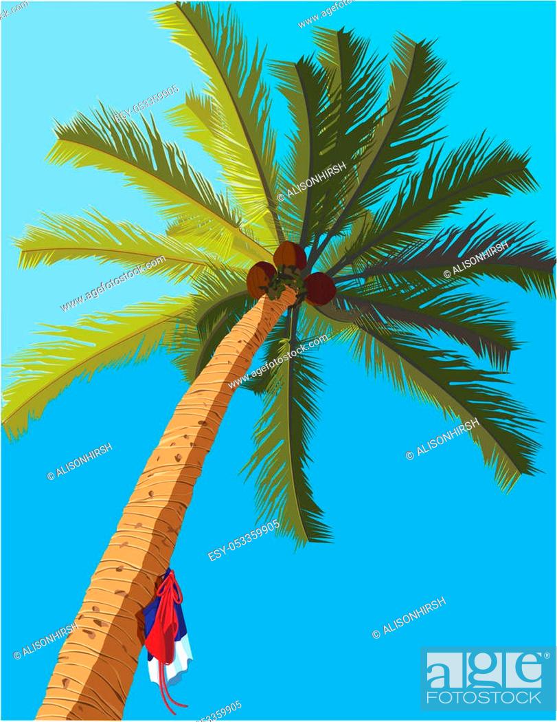 How to Draw a Coconut Tree - YouTube