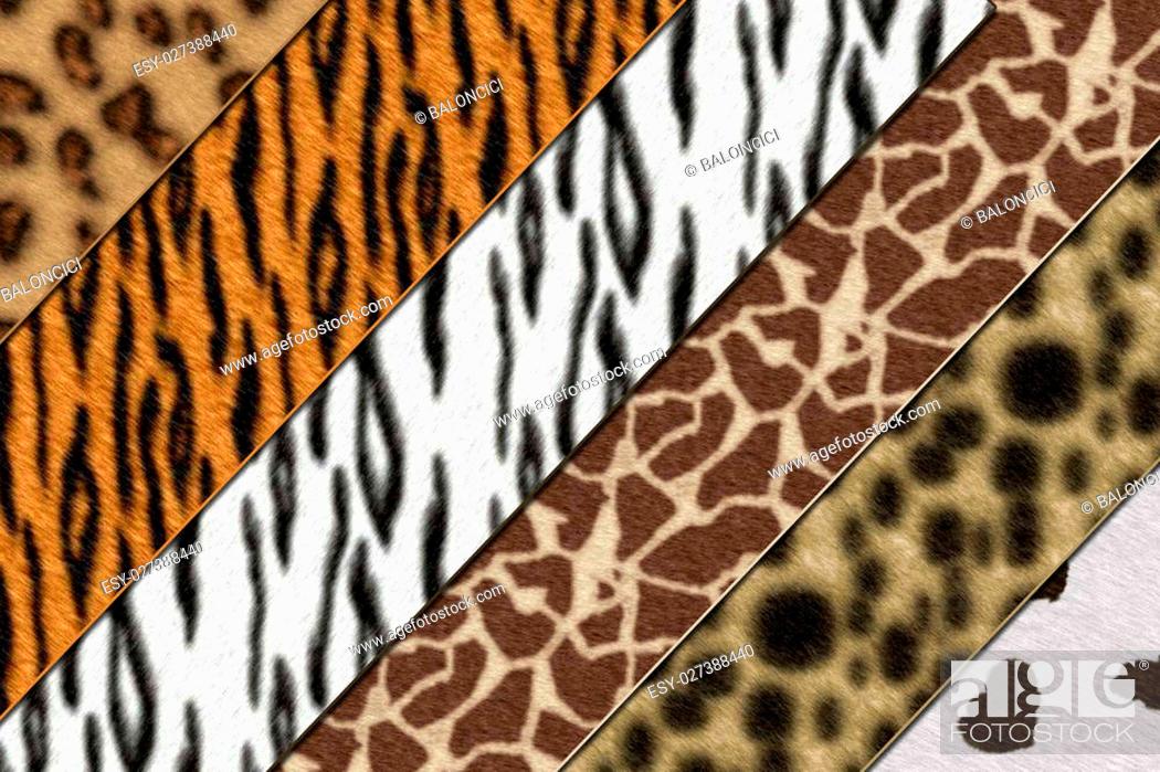 Six African wild animals skin background texture, Stock Photo, Picture And  Low Budget Royalty Free Image. Pic. ESY-027388440 | agefotostock