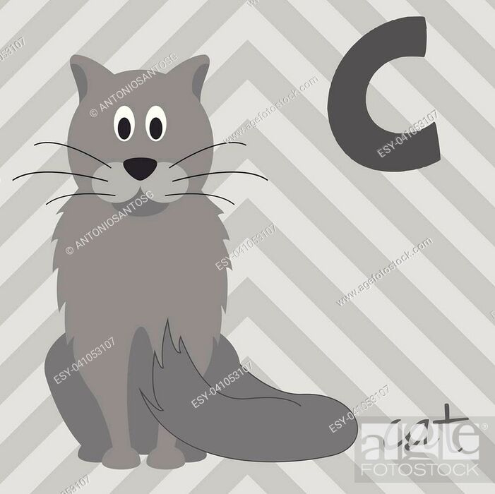 Cute cartoon zoo illustrated alphabet with funny animals: C for Cat, Stock  Vector, Vector And Low Budget Royalty Free Image. Pic. ESY-041053107 |  agefotostock