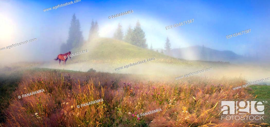 Stock Photo: In the mountains you can see the happy symbol- rare natural yavlenie- white foggy rainbow- special kind of halo. Occurs when the projection of the sun's rays on.