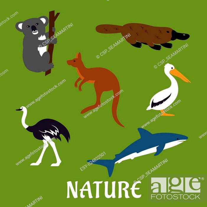 Australian animals and birds flat icons, Stock Vector, Vector And Low  Budget Royalty Free Image. Pic. ESY-024822501 | agefotostock