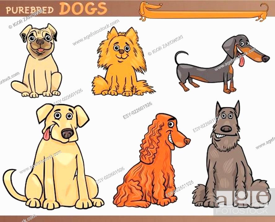 Vector: purebred dogs cartoon illustration set.