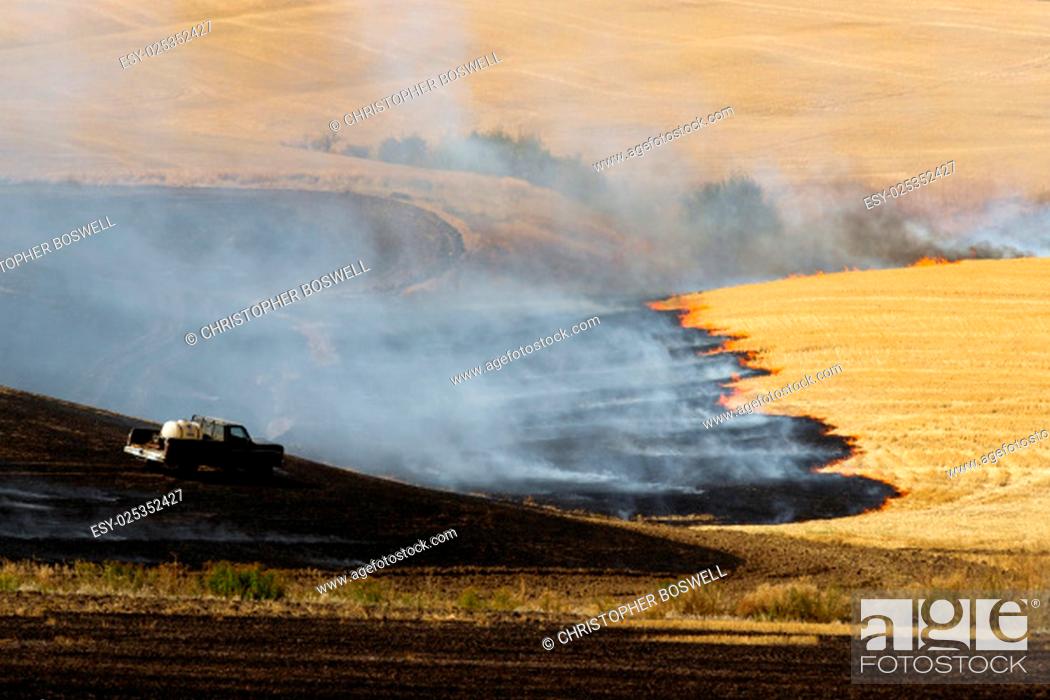 Stock Photo: Farmers do a controlled burn before plowing after harvest.