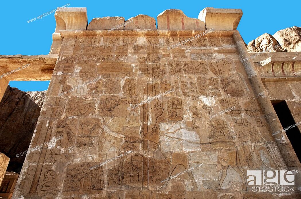 Stock Photo: Deir el Bahari, Luxor, Egypt: temple of the queen Hatshepsut (New Kingdom 1567-1080 b.C.) at Deir el Bahari called Djeser-Djeseru: wall with sacred scene.