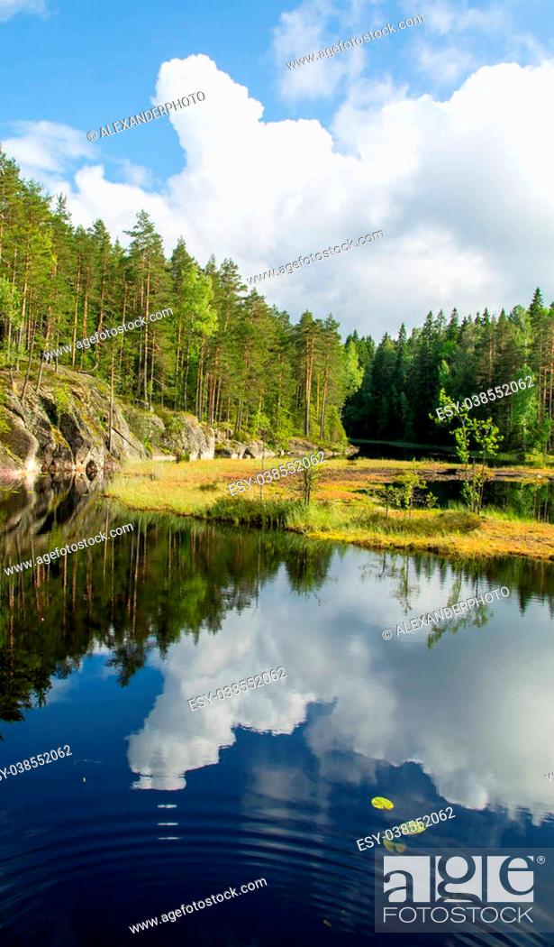 Stock Photo: White summer clouds reflecting on the forest pond in Nuuksio National Park in Southern Finland portrait.