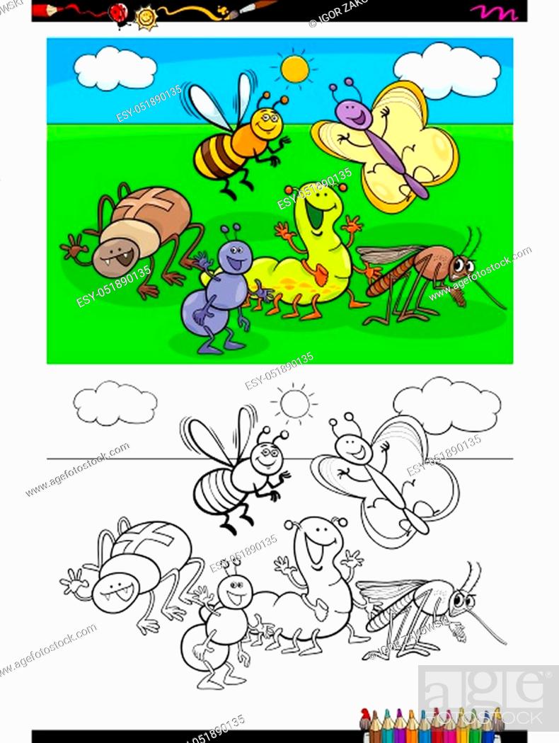 Cartoon Illustration of Funny Insects Animal Characters Coloring Book  Activity, Stock Vector, Vector And Low Budget Royalty Free Image. Pic.  ESY-051890135 | agefotostock