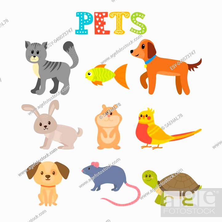 Set of pets. Cute home animals in cartoon style. Vector illustration, Stock  Vector, Vector And Low Budget Royalty Free Image. Pic. ESY-048073747 |  agefotostock