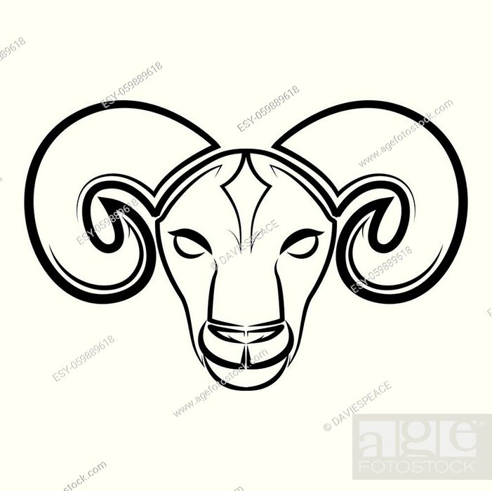 Black and white line art of sheep head. Good use for symbol, mascot, icon,  avatar, tattoo, Stock Vector, Vector And Low Budget Royalty Free Image.  Pic. ESY-059889618 | agefotostock