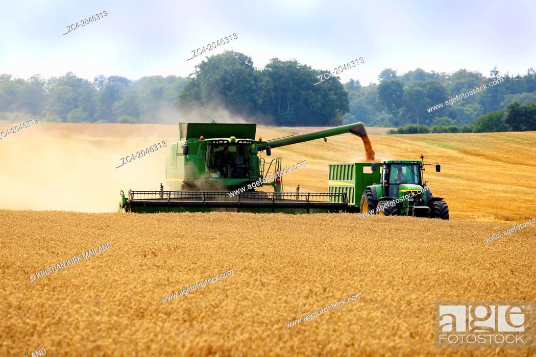 Stock Photo: Seasonal: Harvester unloading to a tractor. Denmark. Scandinavia.